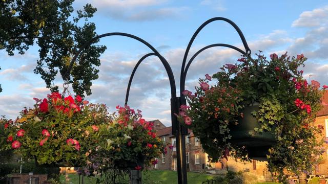 Stamford Bridge In Bloom 6