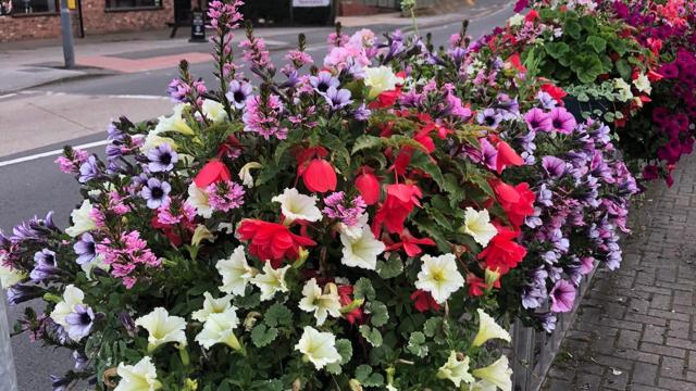 Stamford Bridge In Bloom 4